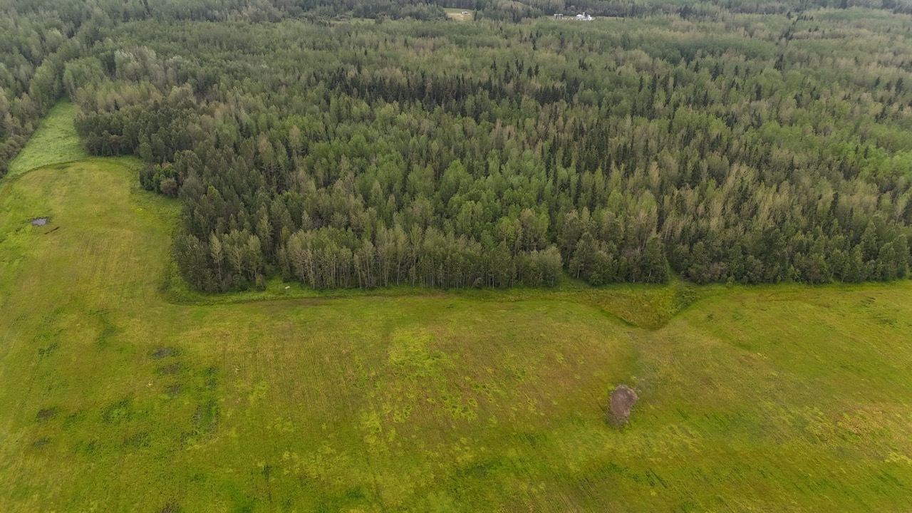 80031 TWP RD 471
