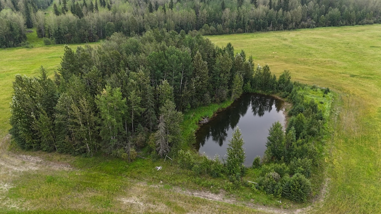 80031 TWP RD 471