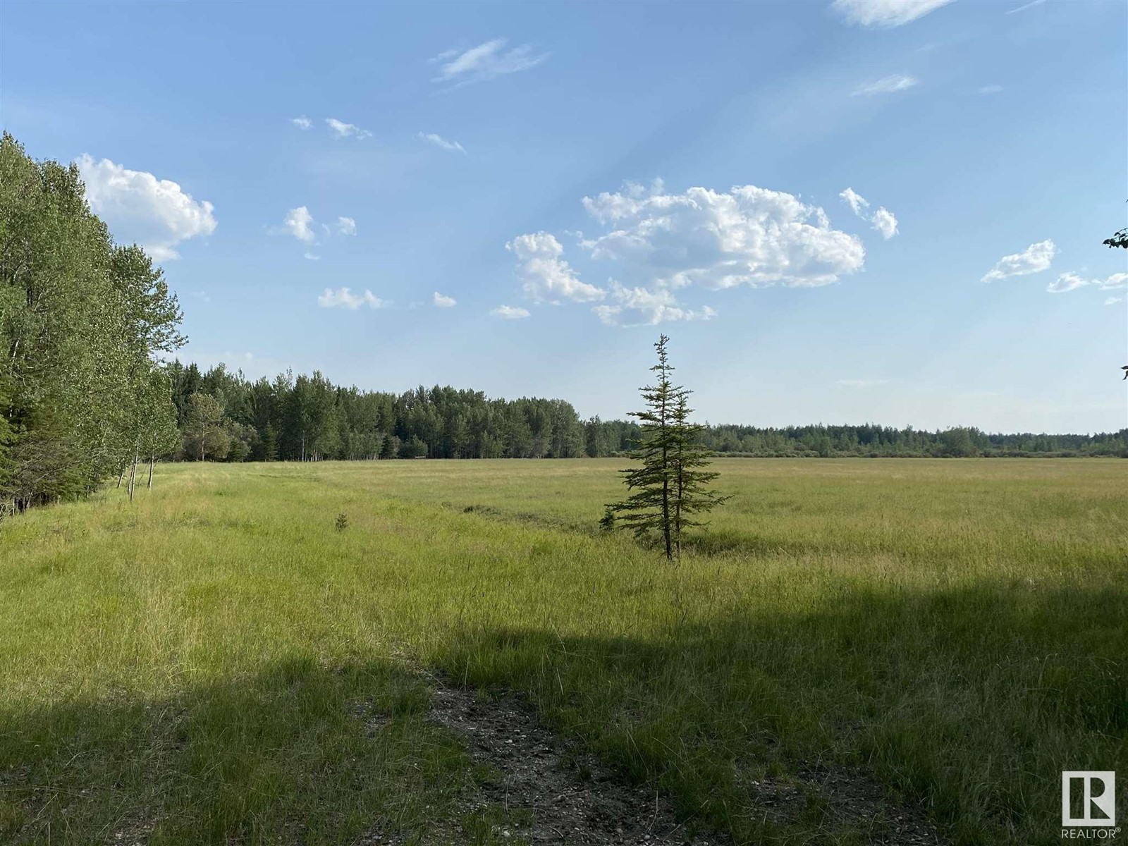 Rr84 And Hwy 621, Rural Brazeau County, Alberta  T7A 2A3 - Photo 4 - E4255867