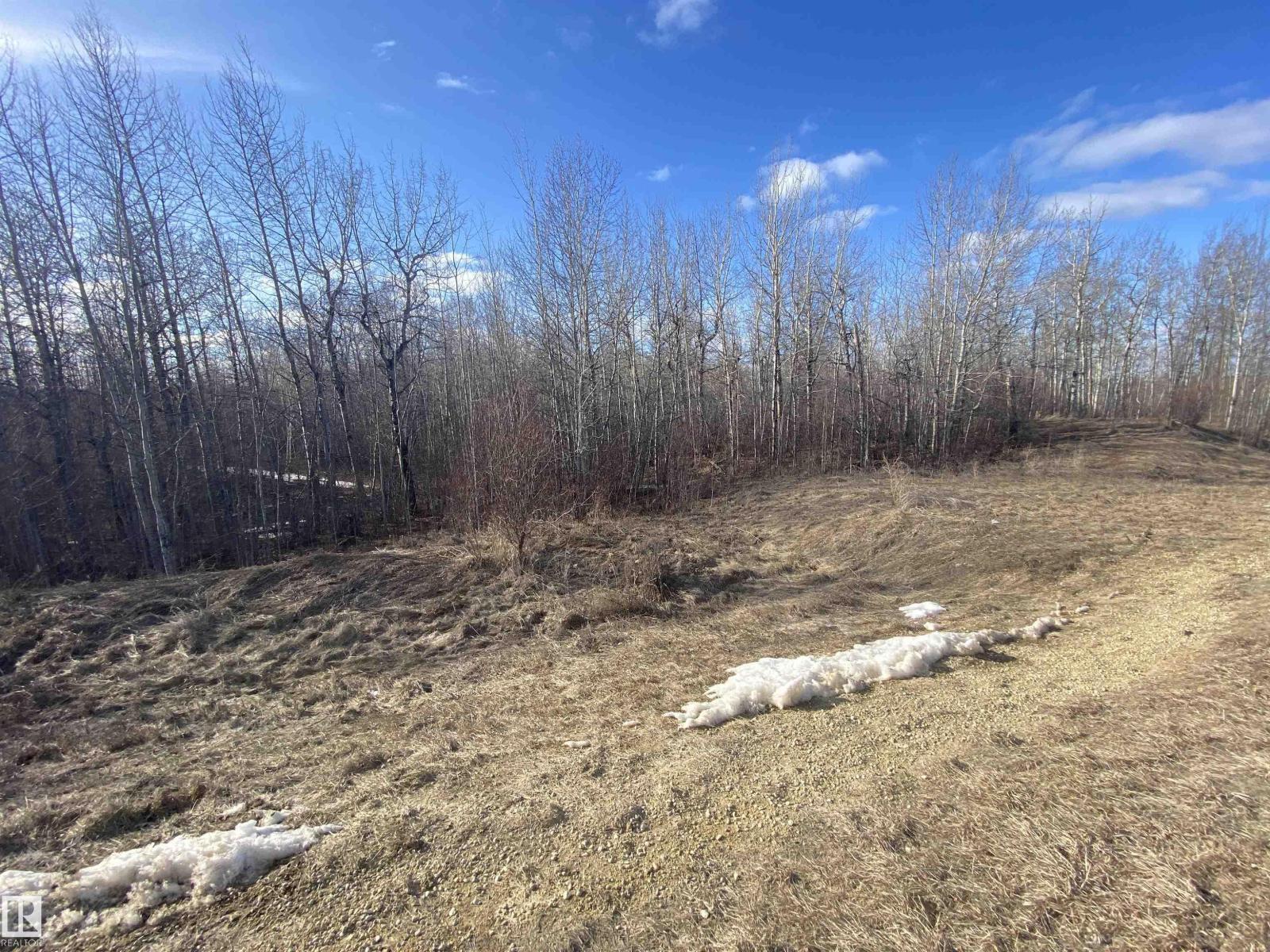 14 54419 Rge Rd 14, Rural Lac Ste. Anne County, Alberta  T0E 1V0 - Photo 6 - E4286999