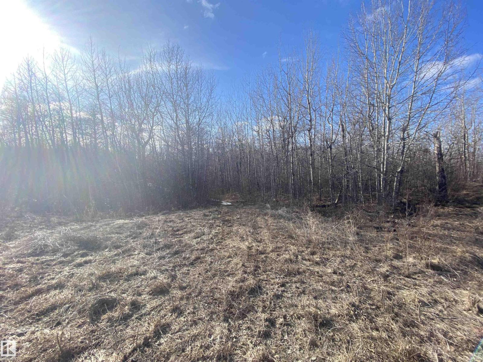 14 54419 Rge Rd 14, Rural Lac Ste. Anne County, Alberta  T0E 1V0 - Photo 8 - E4286999