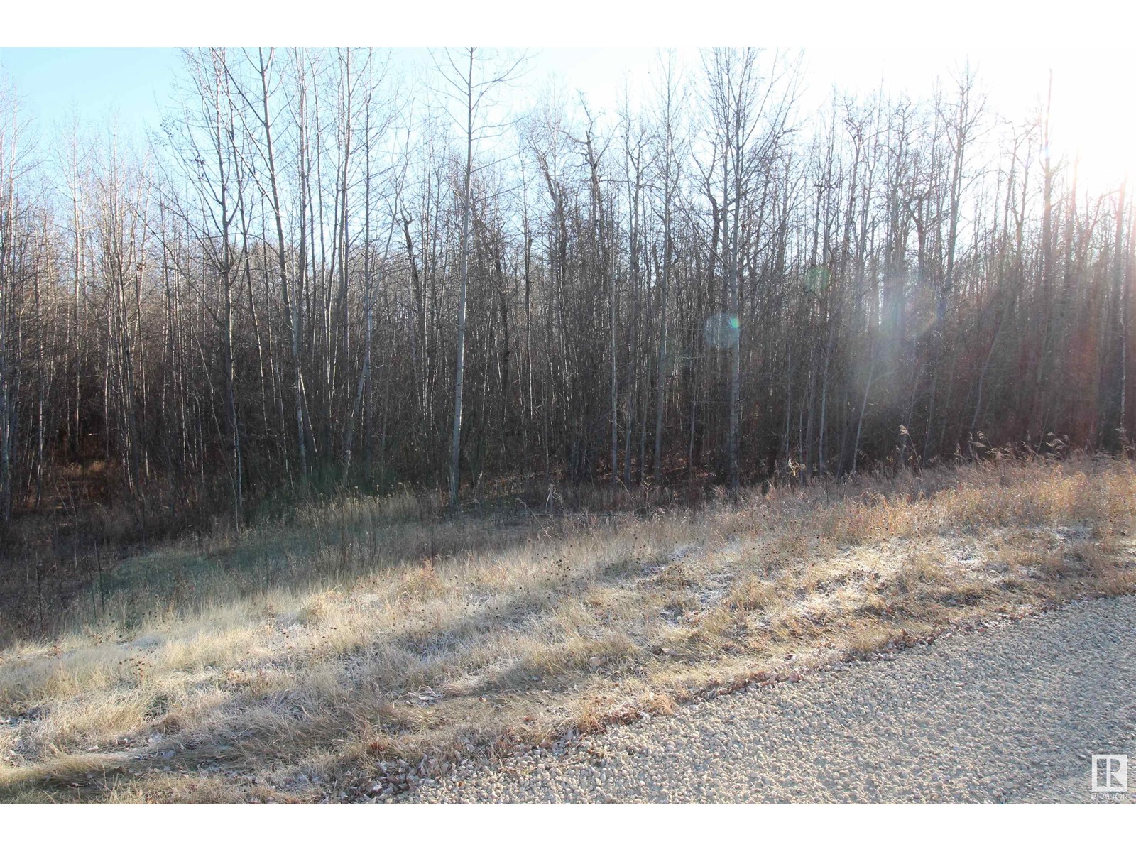 3524 Township Road 542, Rural Lac Ste. Anne County, Alberta  T0E 0A0 - Photo 11 - E4366734