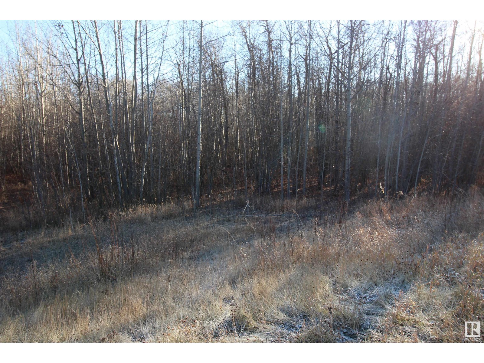 3524 Township Road 542, Rural Lac Ste. Anne County, Alberta  T0E 0A0 - Photo 12 - E4366734