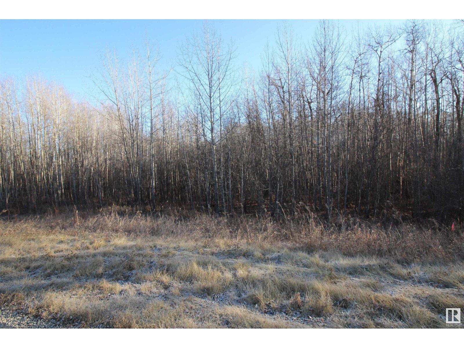 3524 Township Road 542, Rural Lac Ste. Anne County, Alberta  T0E 0A0 - Photo 13 - E4366734