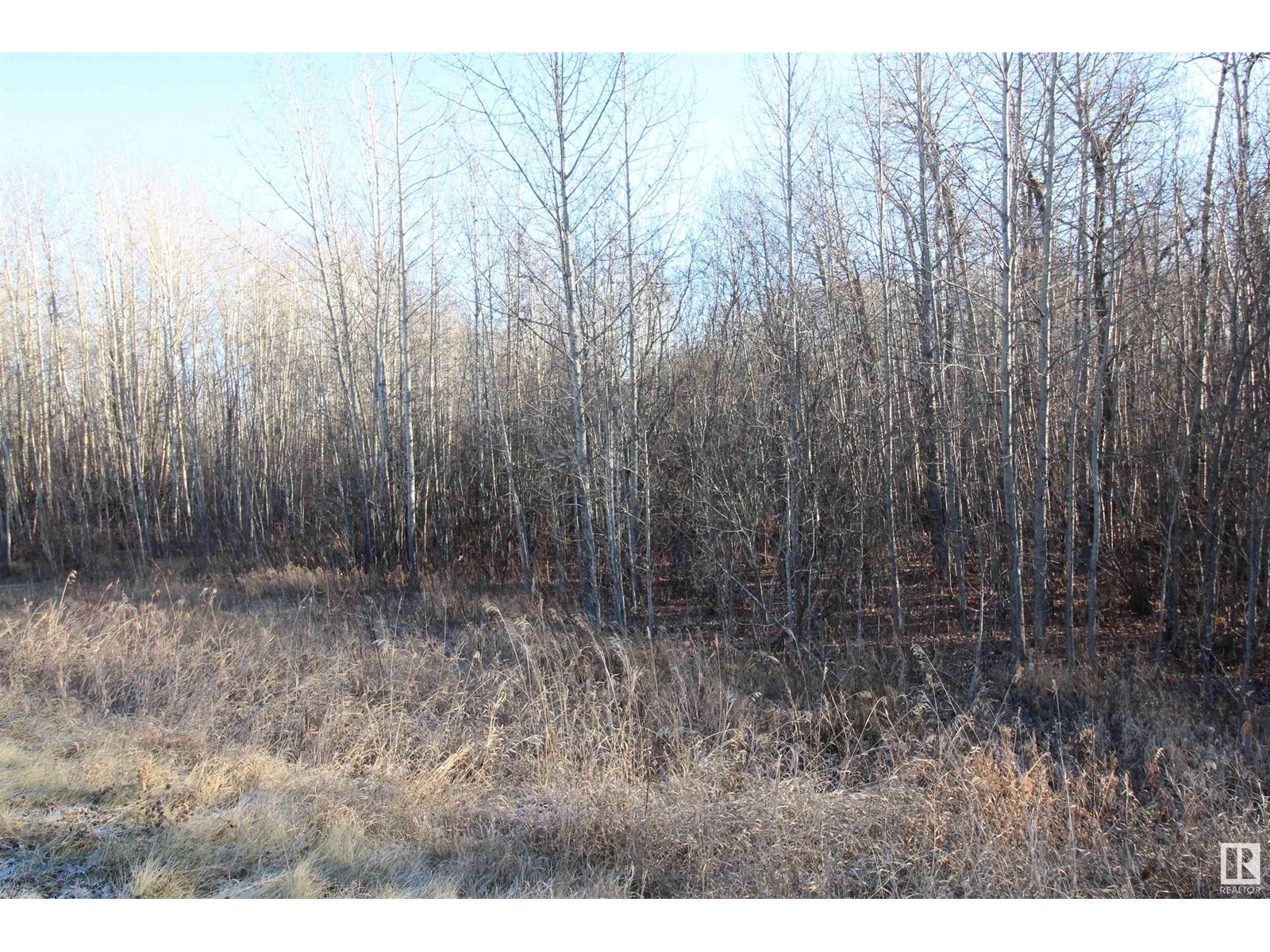 3524 Township Road 542, Rural Lac Ste. Anne County, Alberta  T0E 0A0 - Photo 14 - E4366734