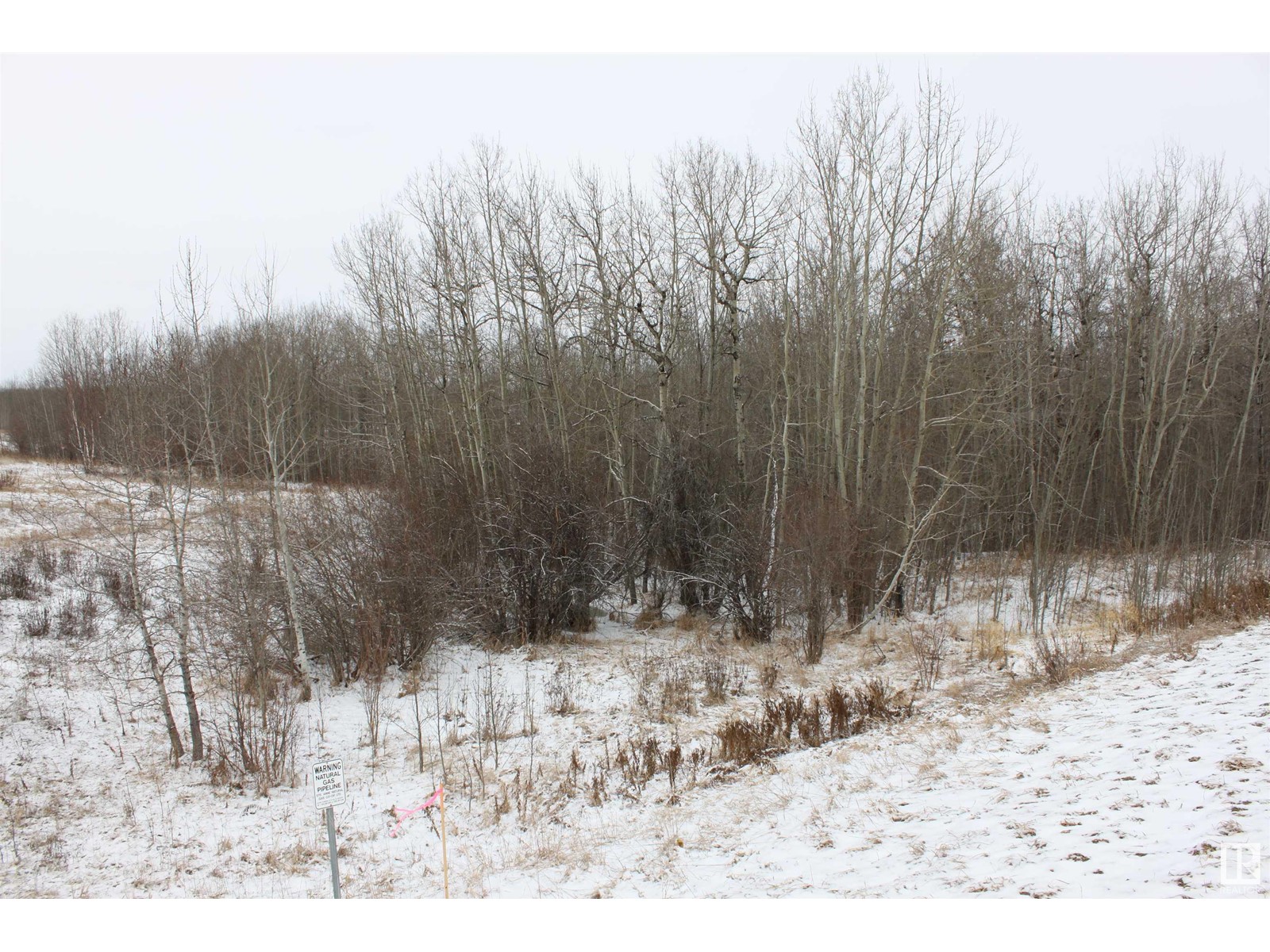 #12 54419 Rge Rd 14, Rural Lac Ste. Anne County, Alberta  T0E 1V0 - Photo 3 - E4379404