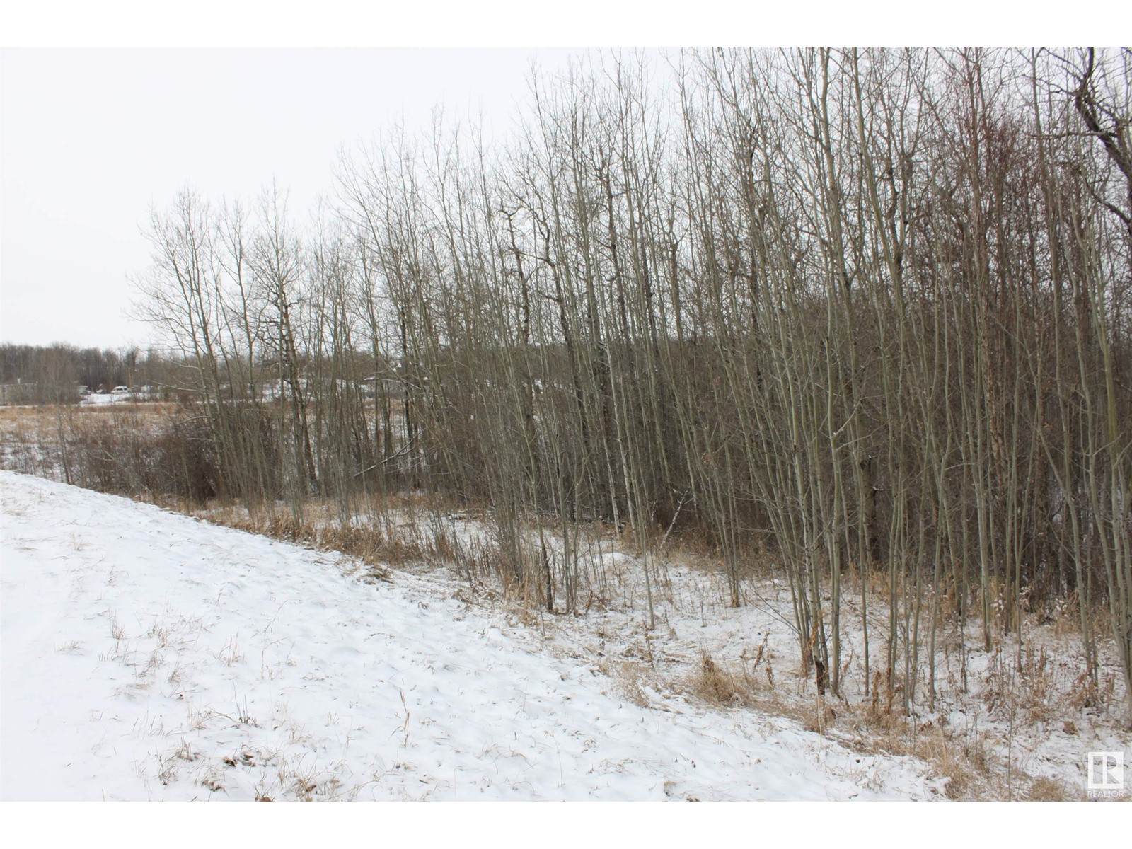 #12 54419 Rge Rd 14, Rural Lac Ste. Anne County, Alberta  T0E 1V0 - Photo 4 - E4379404