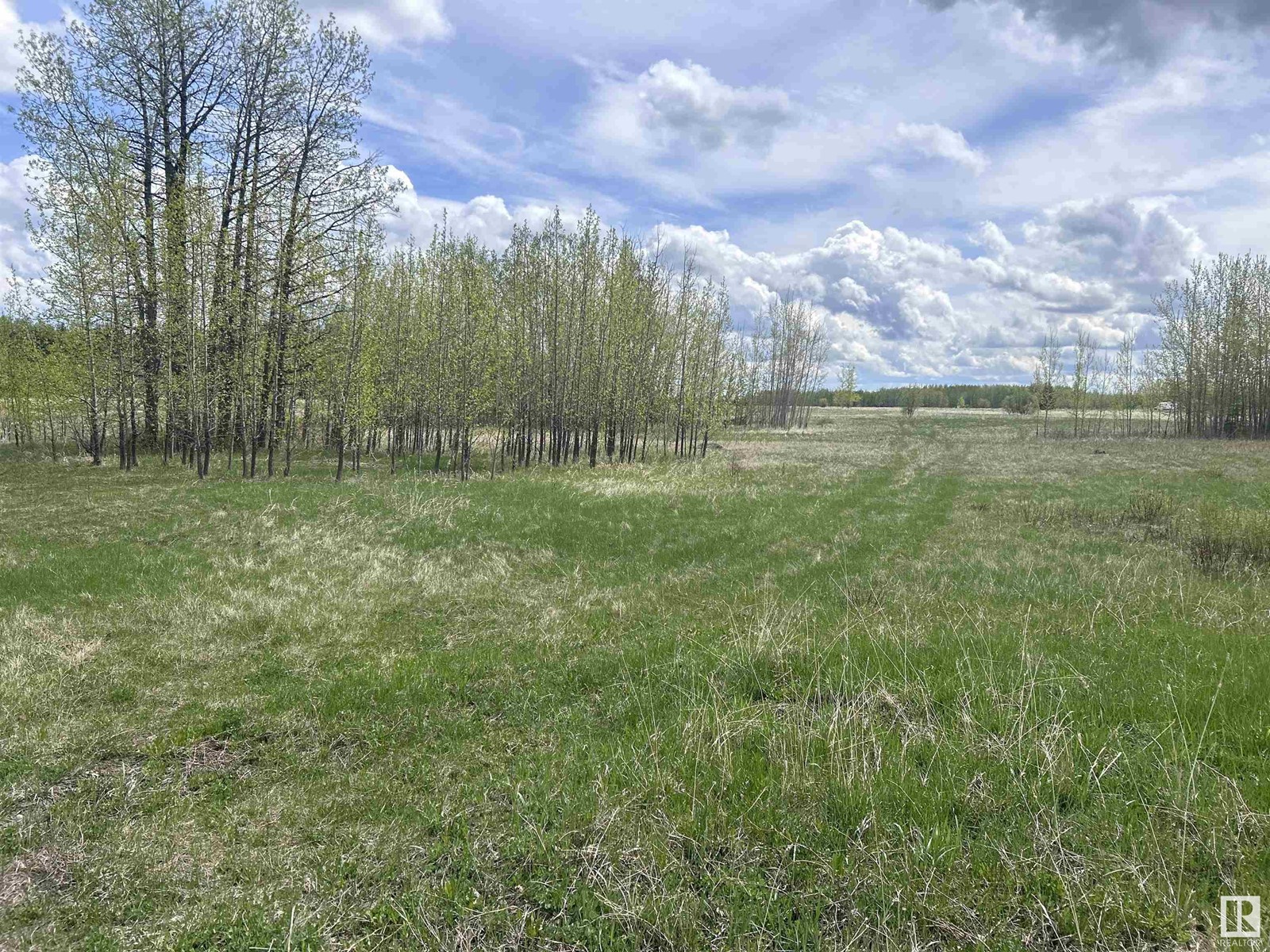 206 49505 Range Road 80, rural brazeau county, Alberta