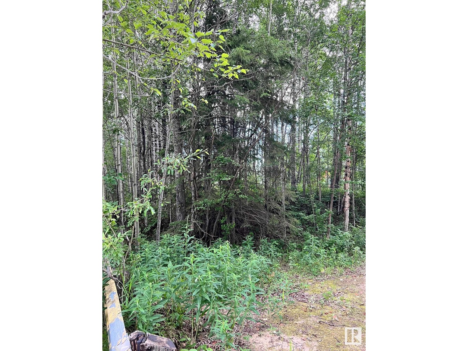 2130 2001 Twp Rd 474, Rural Leduc County, Alberta  T0C 2P0 - Photo 21 - E4393526
