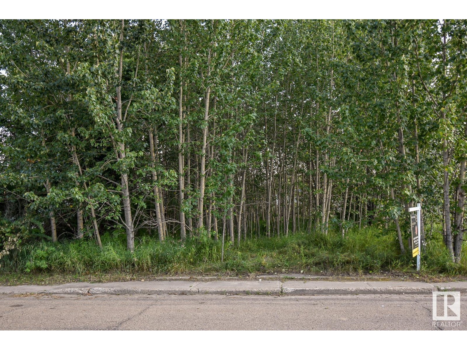 5121 50 Av, Entwistle, Alberta  T0E 0S0 - Photo 3 - E4397910