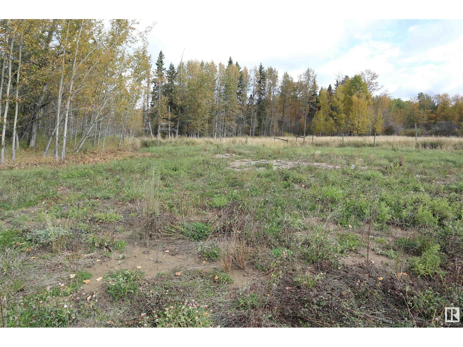 Part Of Sw-33-47-2-W5, Rural Leduc County, Alberta  T0C 2T0 - Photo 6 - E4409163