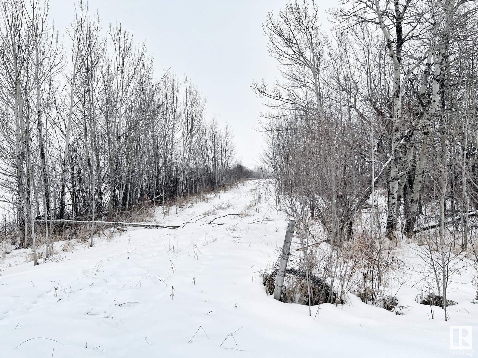 58013 Rge Rd 81, Rural Lac Ste. Anne County, Alberta  T0E 1N0 - Photo 20 - E4416203