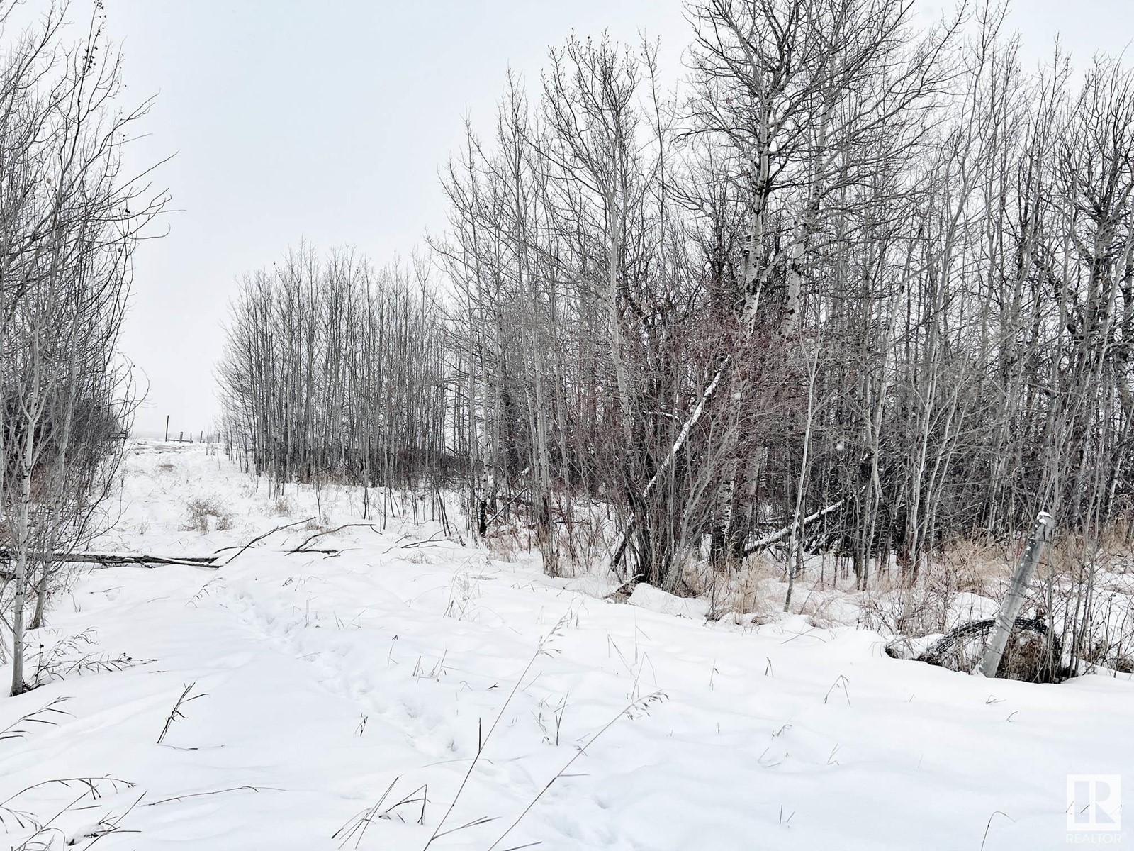 58013 Rge Rd 81, Rural Lac Ste. Anne County, Alberta  T0E 1N0 - Photo 4 - E4416203