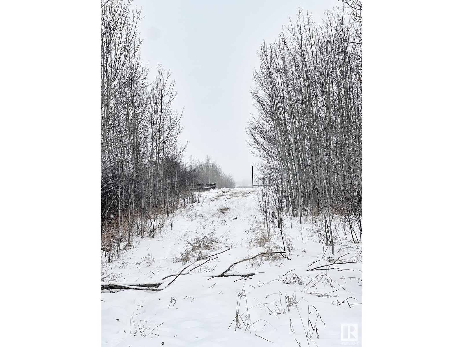 58013 Rge Rd 81, Rural Lac Ste. Anne County, Alberta  T0E 1N0 - Photo 6 - E4416203