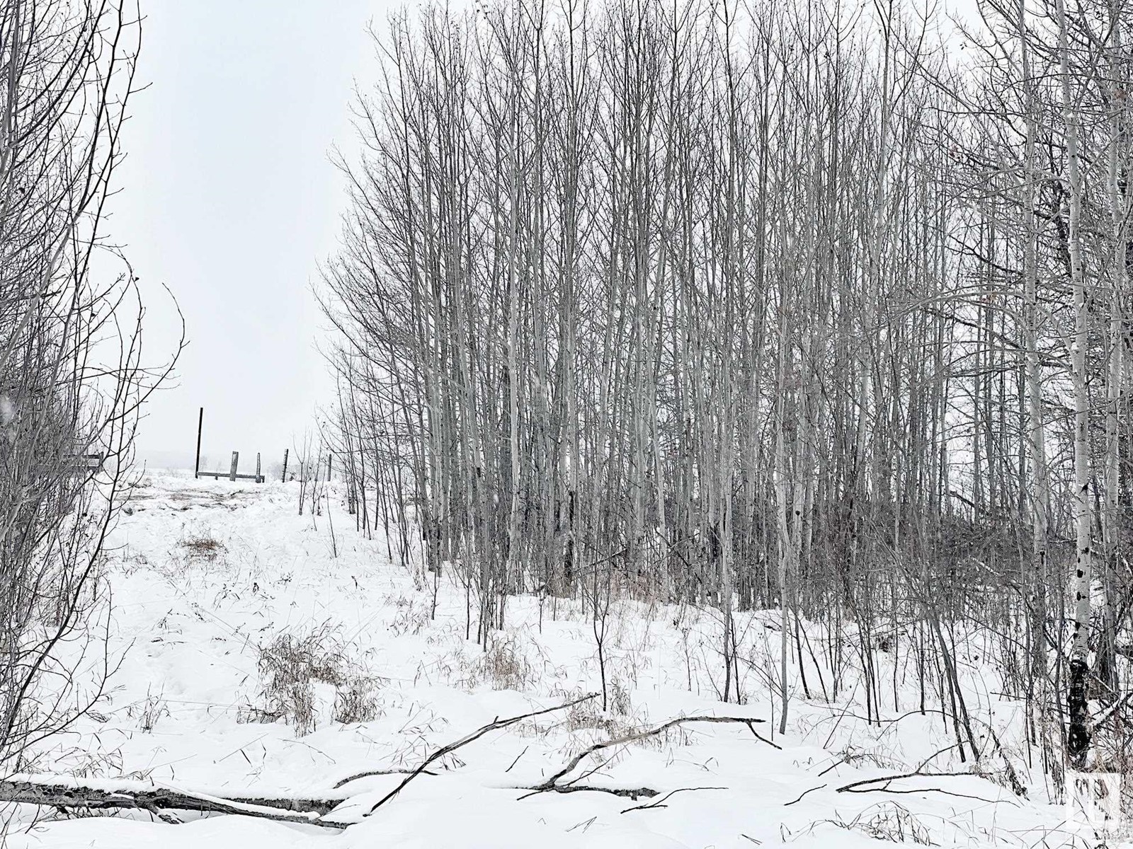 58013 Rge Rd 81, Rural Lac Ste. Anne County, Alberta  T0E 1N0 - Photo 7 - E4416203