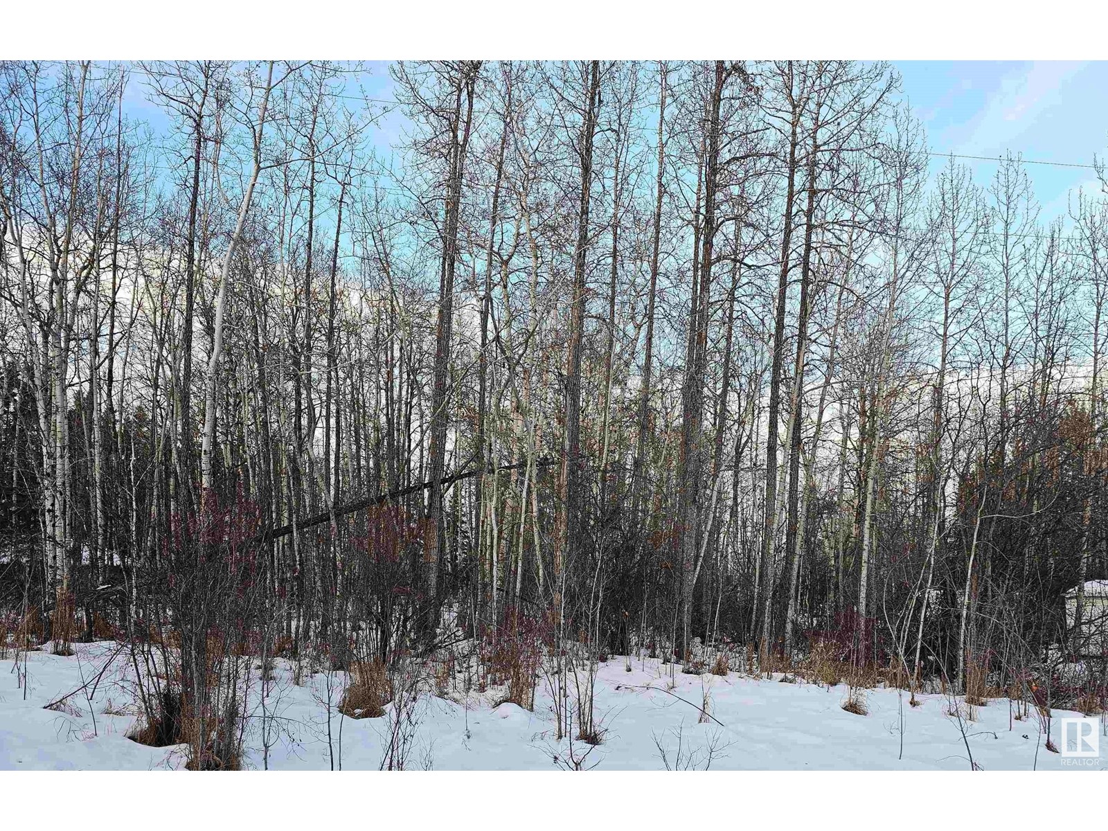 #82 4418 Hwy 633, Rural Lac Ste. Anne County, Alberta  T0E 0L0 - Photo 6 - E4417961