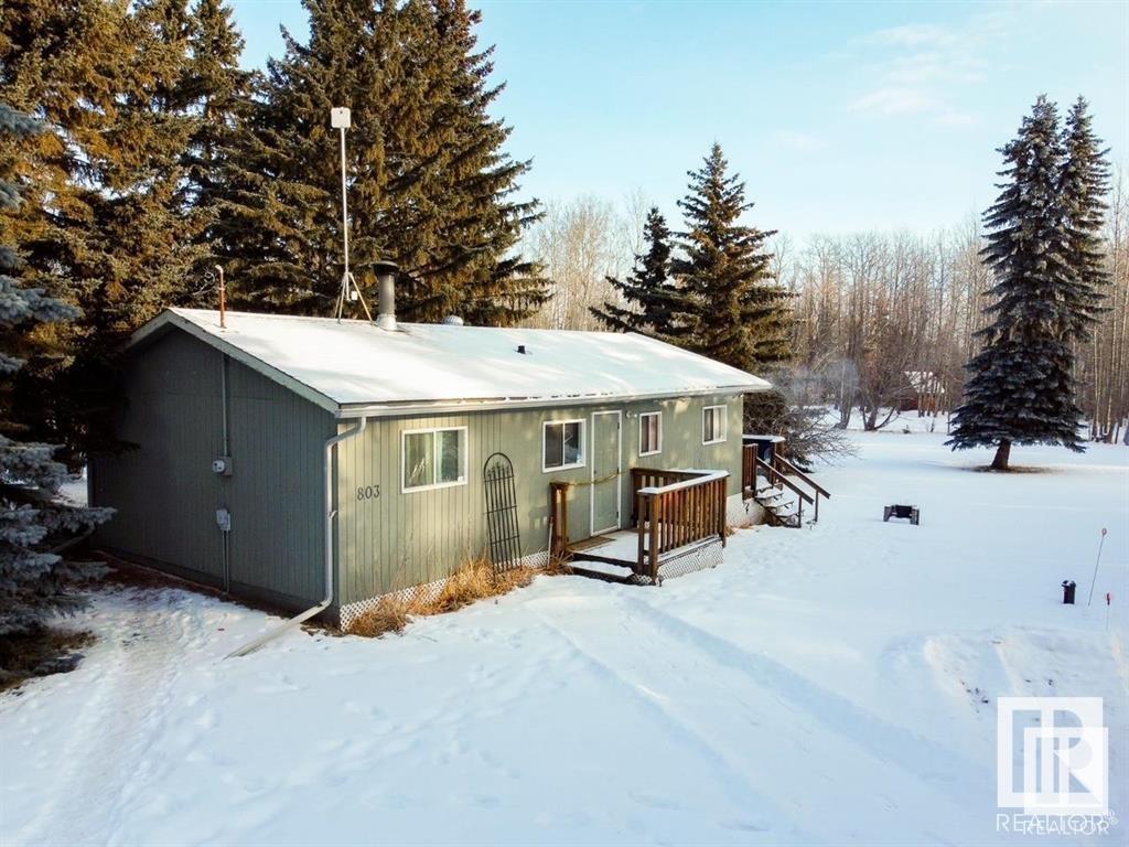 803 Marine Dr, Rural Wetaskiwin County, Alberta  T0C 2V0 - Photo 22 - E4418058