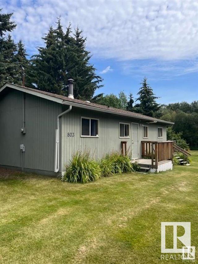 803 Marine Dr, Rural Wetaskiwin County, Alberta  T0C 2V0 - Photo 7 - E4418058