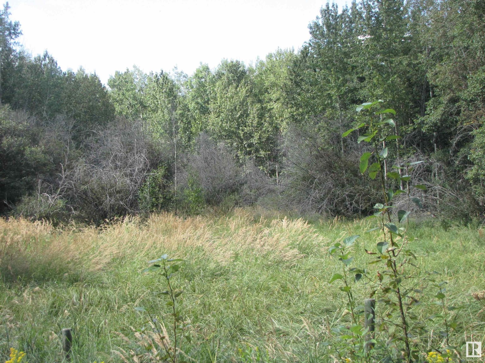 5206 Township Road 550, Rural Lac Ste. Anne County, Alberta  T0E 0L0 - Photo 12 - E4419569