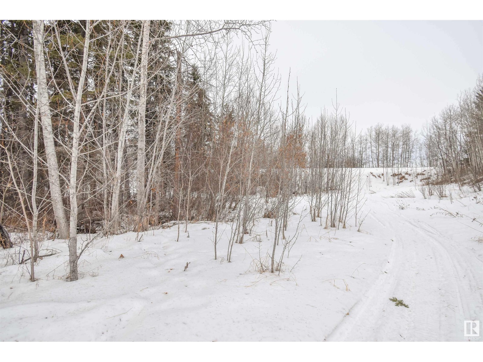 4418 48 Av, Onoway, Alberta  T0E 1V0 - Photo 10 - E4419587
