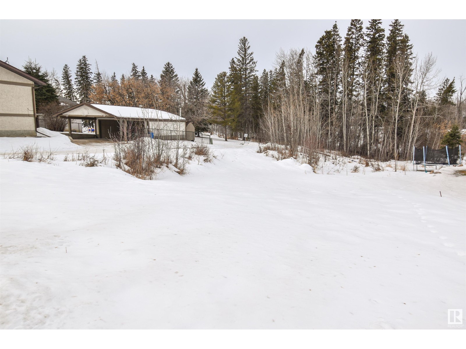 4418 48 Av, Onoway, Alberta  T0E 1V0 - Photo 3 - E4419587