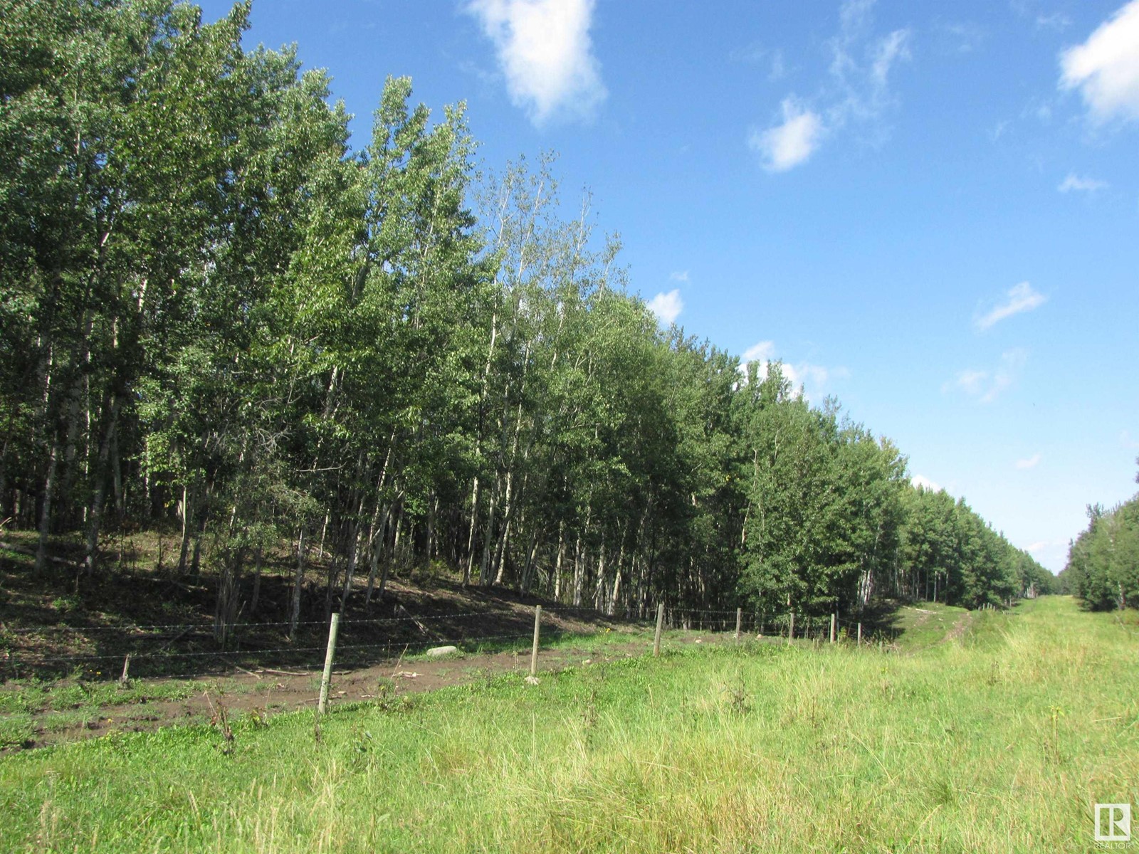 Township Road 550 And Range Road 52, Rural Lac Ste. Anne County, Alberta  T0E 0L0 - Photo 8 - E4419708