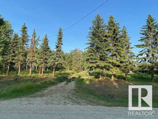 3521 Twp Rd 542, Rural Lac Ste. Anne County, Alberta  T0E 0A0 - Photo 5 - E4419780