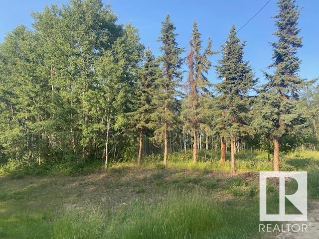 3521 Twp Rd 542, Rural Lac Ste. Anne County, Alberta  T0E 0A0 - Photo 6 - E4419780