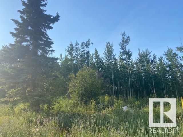 3521 Twp Rd 542, Rural Lac Ste. Anne County, Alberta  T0E 0A0 - Photo 8 - E4419780