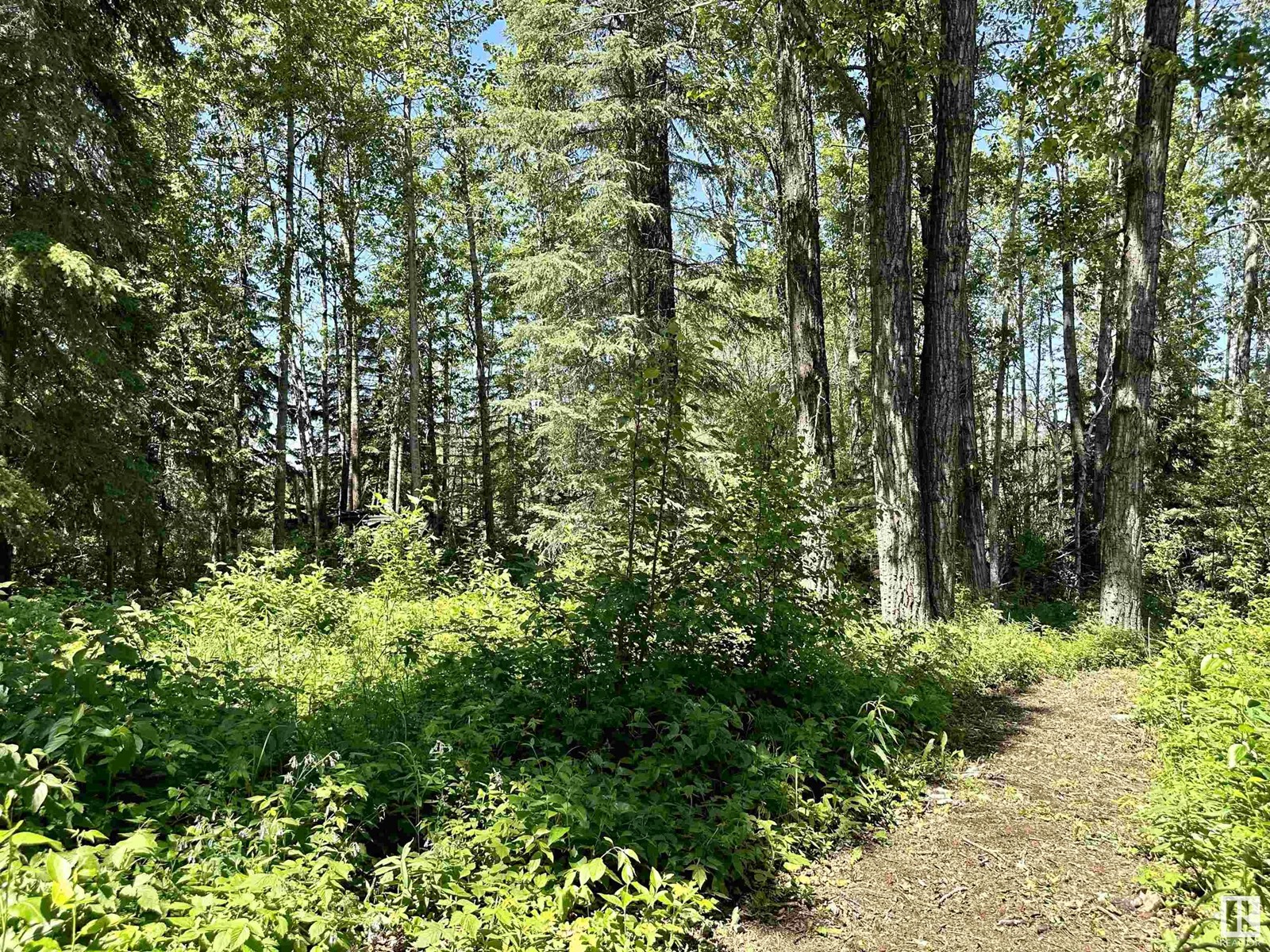 7208 Twp 495, Rural Brazeau County, Alberta  T0E 1Z0 - Photo 22 - E4420063