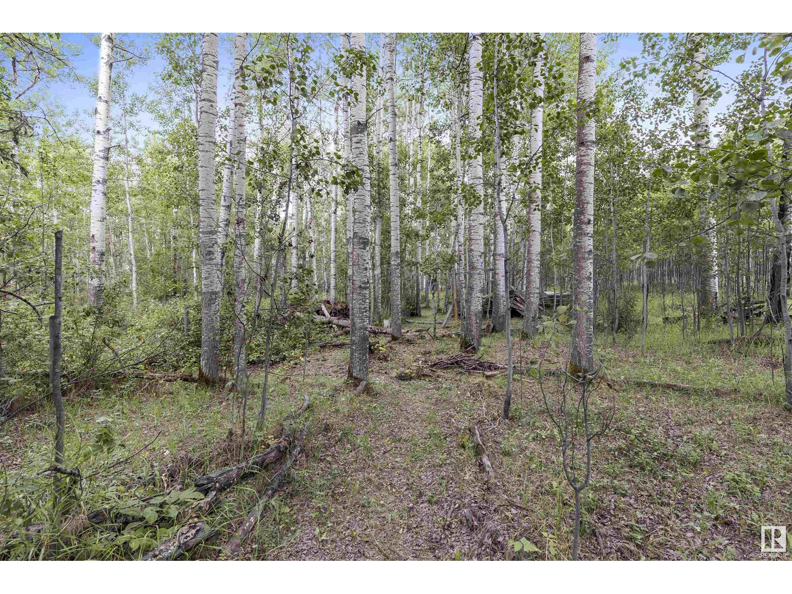 #406 54411 Rge Rd 40, Rural Lac Ste. Anne County, Alberta  T0E 0A0 - Photo 25 - E4420224