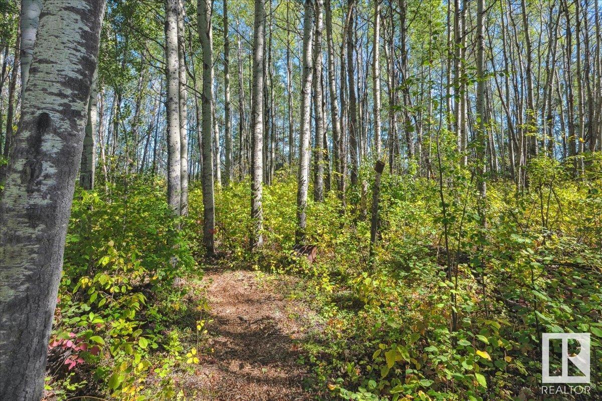 6219 Twp Rd 490, Rural Brazeau County, Alberta  T0E 1Z0 - Photo 42 - E4420236