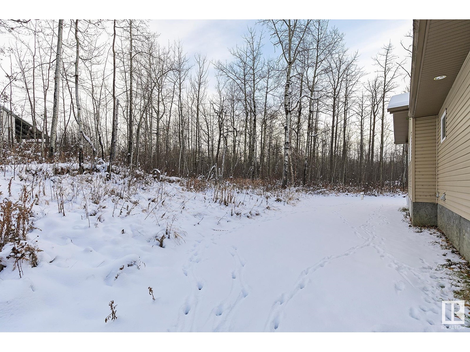 #20 5124 Twp Road 554, Rural Lac Ste. Anne County, Alberta  T0E 0L0 - Photo 4 - E4420412