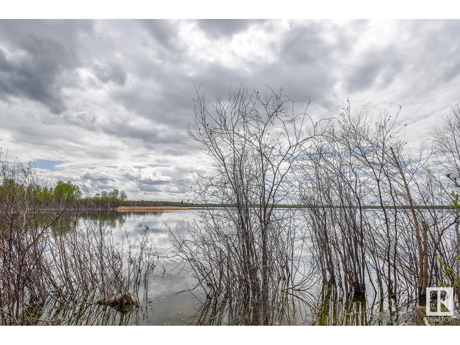 Rge Rd 51 And Twp Rd 555, Rural Lac Ste. Anne County, Alberta  T0E 0J0 - Photo 4 - E4420433