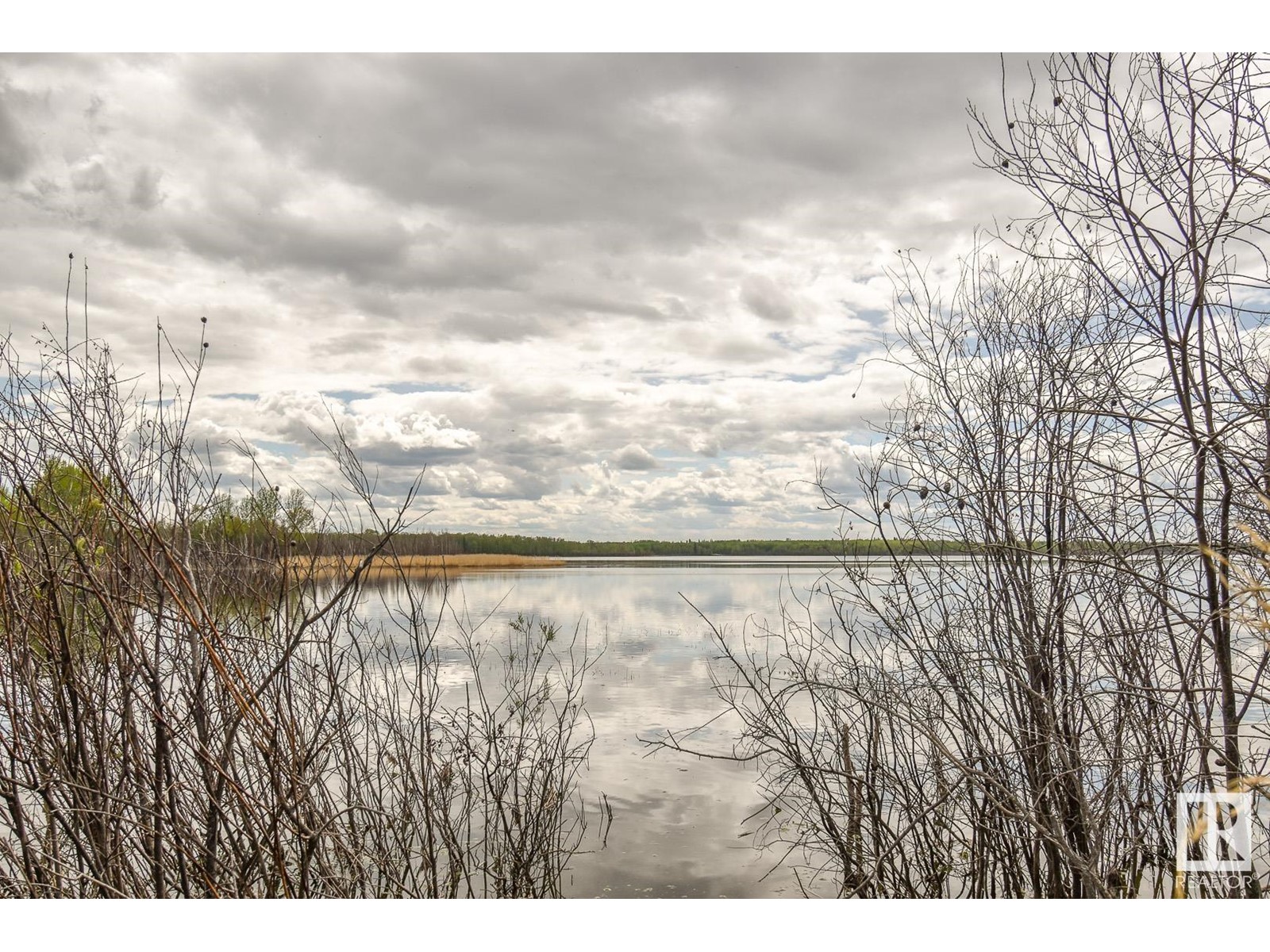 Rge Rd 51 And Twp Rd 555, Rural Lac Ste. Anne County, Alberta  T0E 0J0 - Photo 5 - E4420433