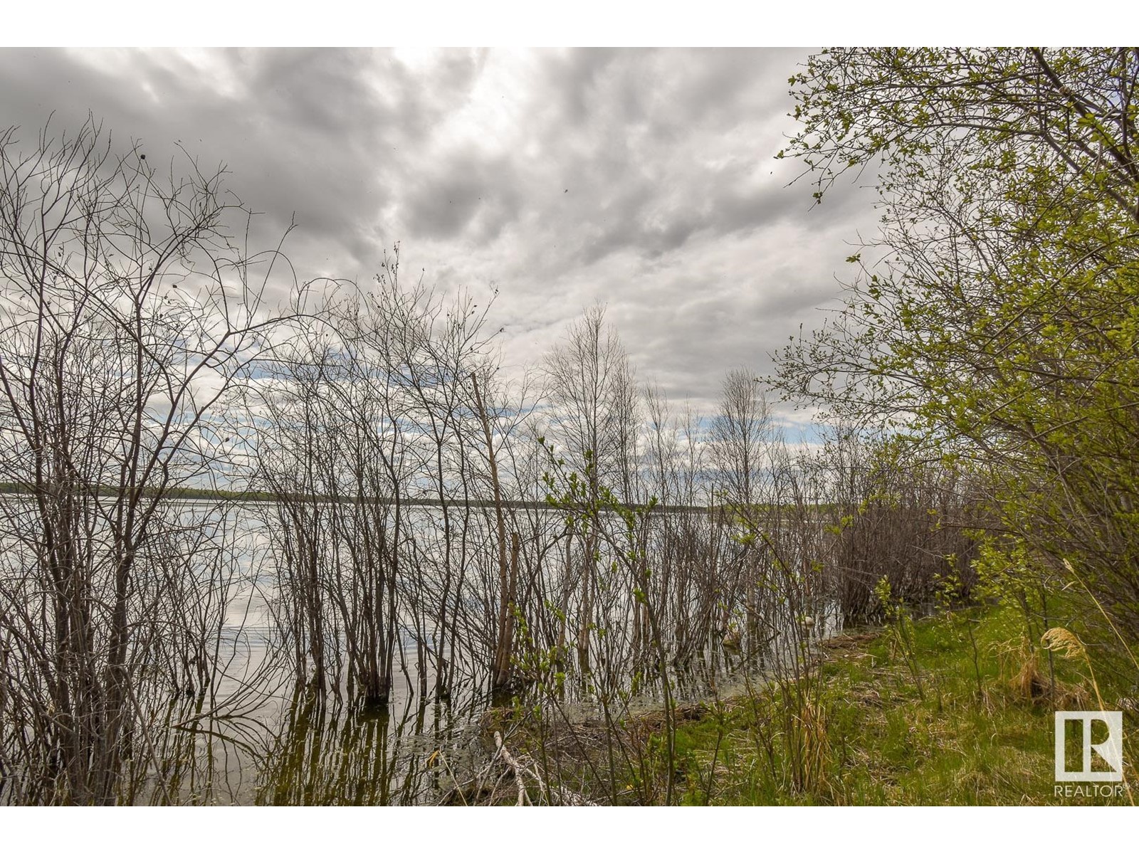 Rge Rd 51 And Twp Rd 555, Rural Lac Ste. Anne County, Alberta  T0E 0J0 - Photo 6 - E4420433