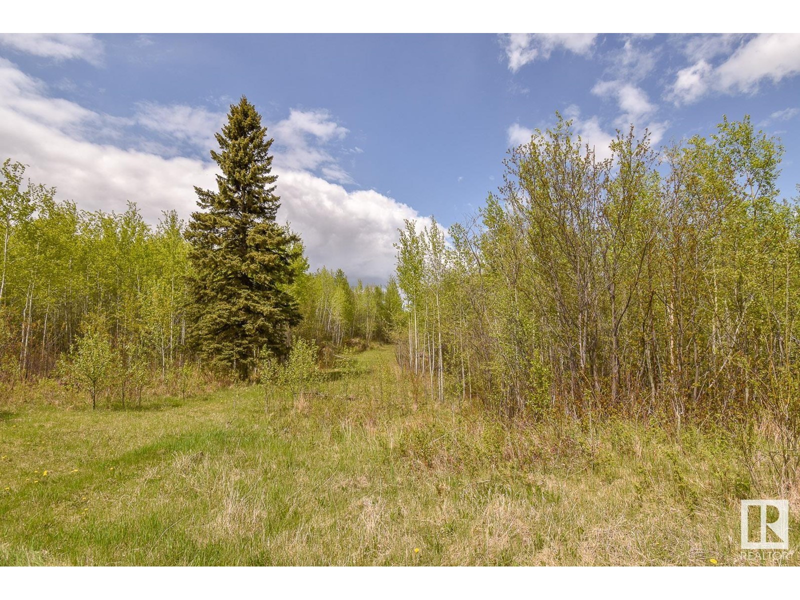 Rge Rd 51 And Twp Rd 555, Rural Lac Ste. Anne County, Alberta  T0E 0J0 - Photo 7 - E4420433