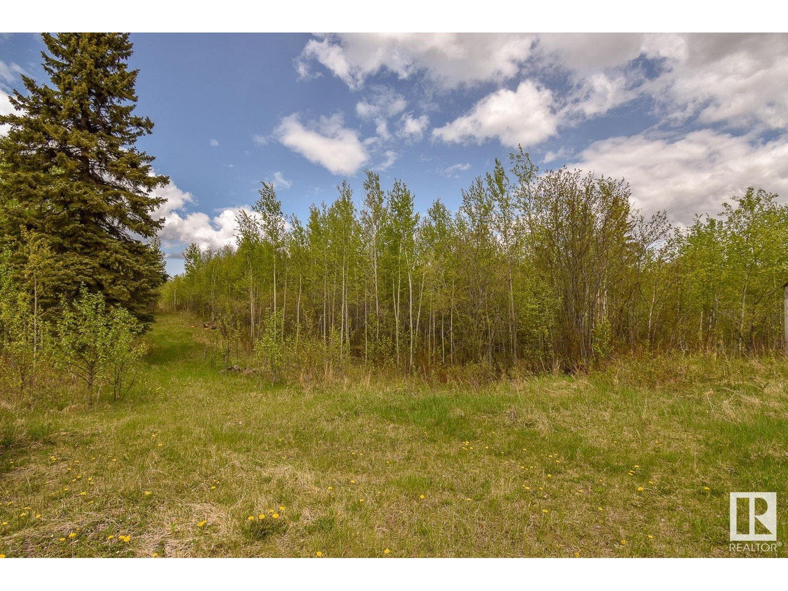 Rge Rd 51 And Twp Rd 555, Rural Lac Ste. Anne County, Alberta  T0E 0J0 - Photo 8 - E4420433