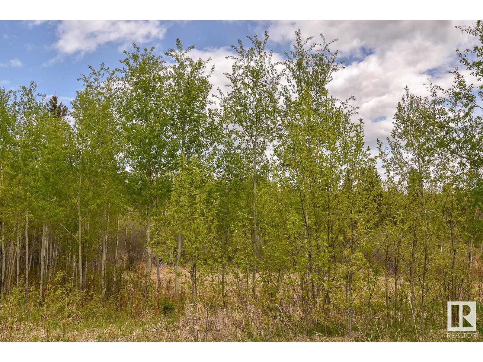 Rge Rd 51 And Twp Rd 555, Rural Lac Ste. Anne County, Alberta  T0E 0J0 - Photo 9 - E4420433