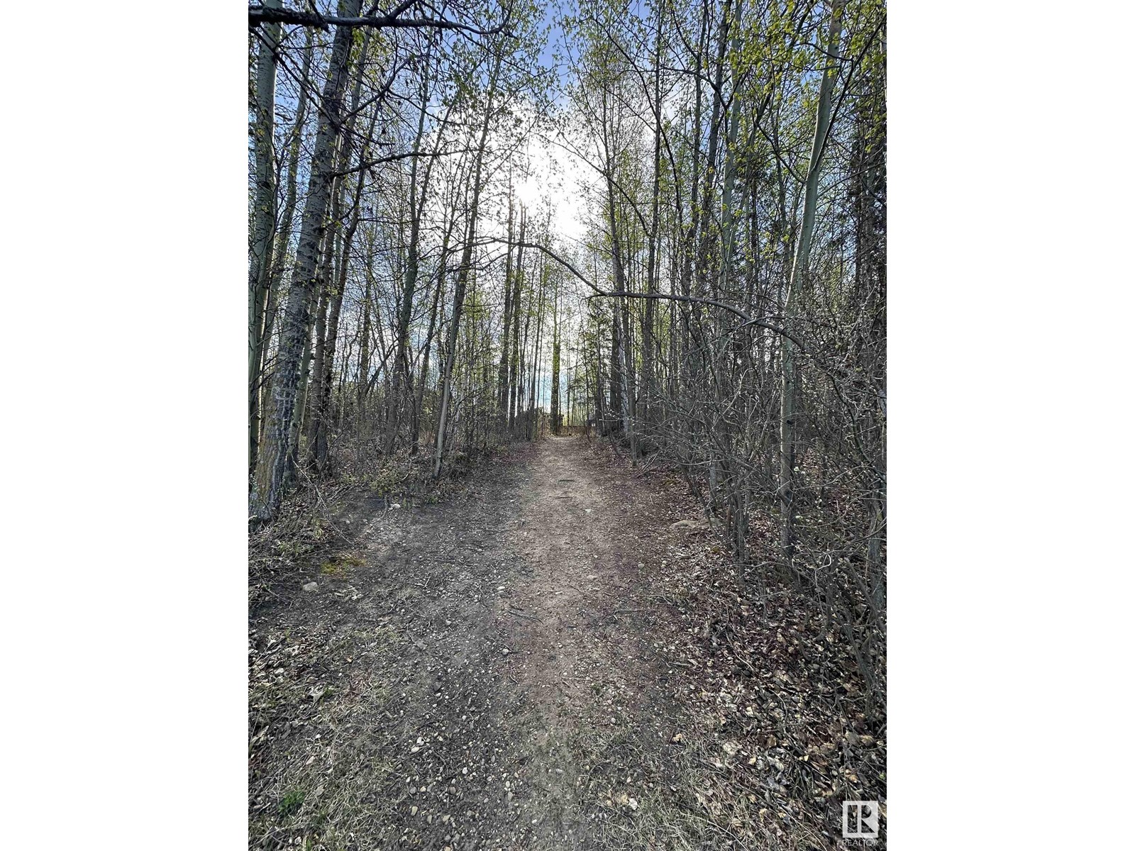 5 Poppy Pl, Rural Lac Ste. Anne County, Alberta  T0E 1H0 - Photo 15 - E4420702