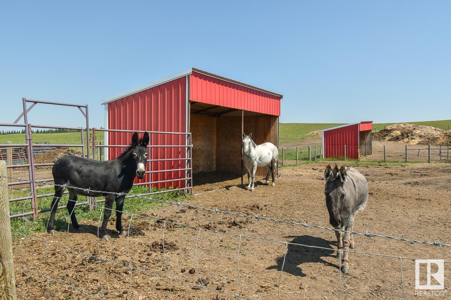 51211 Rge Rd 62, Rural Parkland County, Alberta  T0E 2H0 - Photo 49 - E4420789