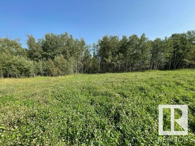 Lot 9 54426 Rge Rd 40, Rural Lac Ste. Anne County, Alberta  T0E 0E0 - Photo 11 - E4420942