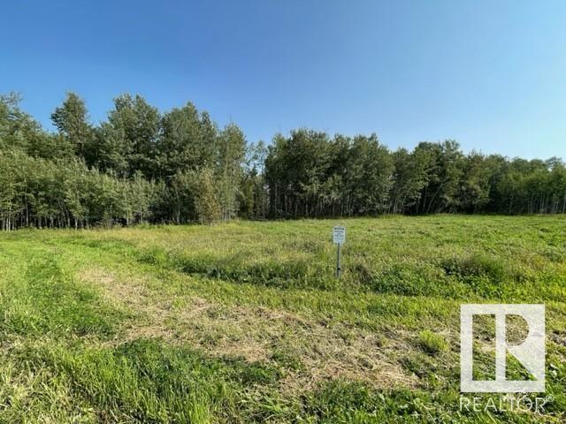 Lot 9 54426 Rge Rd 40, Rural Lac Ste. Anne County, Alberta  T0E 0E0 - Photo 12 - E4420942