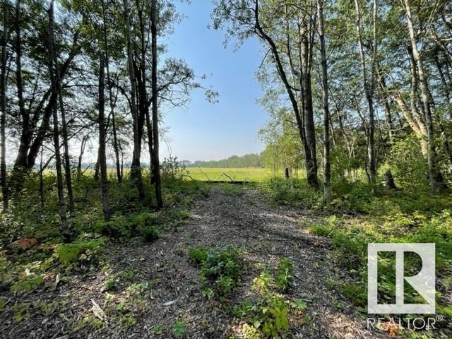 Lot 9 54426 Rge Rd 40, Rural Lac Ste. Anne County, Alberta  T0E 0E0 - Photo 15 - E4420942