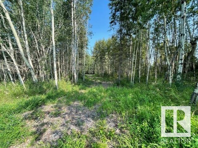 Lot 9 54426 Rge Rd 40, Rural Lac Ste. Anne County, Alberta  T0E 0E0 - Photo 16 - E4420942