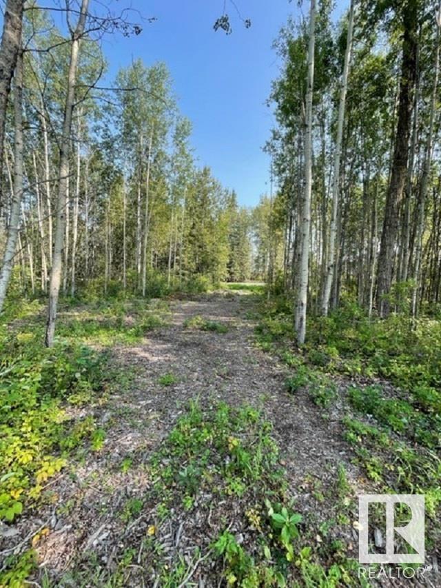 Lot 9 54426 Rge Rd 40, Rural Lac Ste. Anne County, Alberta  T0E 0E0 - Photo 17 - E4420942