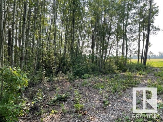 Lot 9 54426 Rge Rd 40, Rural Lac Ste. Anne County, Alberta  T0E 0E0 - Photo 18 - E4420942