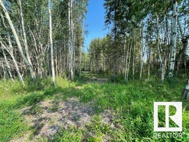 Lot 9 54426 Rge Rd 40, Rural Lac Ste. Anne County, Alberta  T0E 0E0 - Photo 6 - E4420942