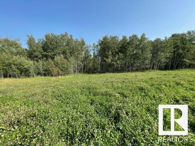 Lot 9 54426 Rge Rd 40, Rural Lac Ste. Anne County, Alberta  T0E 0E0 - Photo 7 - E4420942