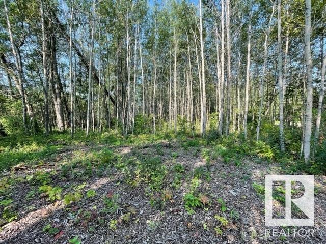 Lot 12 54426 Rge Rd 40, Rural Lac Ste. Anne County, Alberta  T0E 0A0 - Photo 5 - E4420946